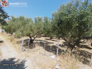 Land plot 609 sqm for sale