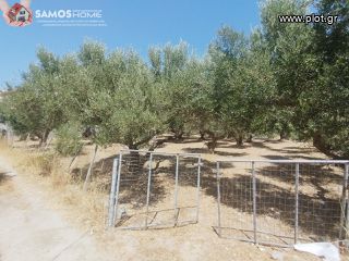 Land plot 609 sqm for sale, Samos Prefecture, Samos-thumb-2