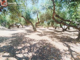 Land plot 609 sqm for sale, Samos Prefecture, Samos-thumb-4