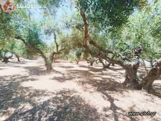 Land plot 609 sqm for sale, Samos Prefecture, Samos-thumb-5