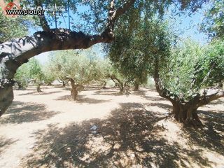 Land plot 609 sqm for sale, Samos Prefecture, Samos-thumb-6