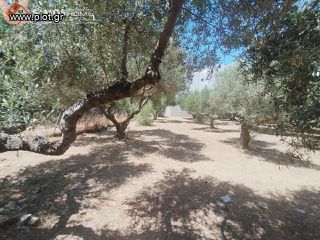 Land plot 609 sqm for sale, Samos Prefecture, Samos-thumb-7