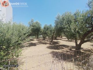 Land plot 609 sqm for sale, Samos Prefecture, Samos-thumb-8