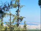 Οικόπεδο 790τ.μ. για πώληση-Πανόραμα » Κέντρο