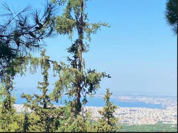 Land plot 790 sqm for sale, Thessaloniki - Suburbs, Panorama