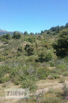 Parcel 40.000sqm for sale-Amarinthos » Center