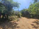 Land plot 1.000sqm for sale-Thasos » Potamia