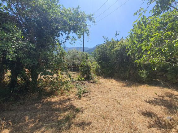 Land plot 1.000 sqm for sale, Kavala Prefecture, Thasos