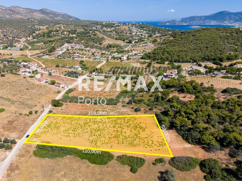 Αγροτεμάχια 6.146 τ.μ. πρός πώληση, Αττική - Υπόλοιπο, Μαρκόπουλο