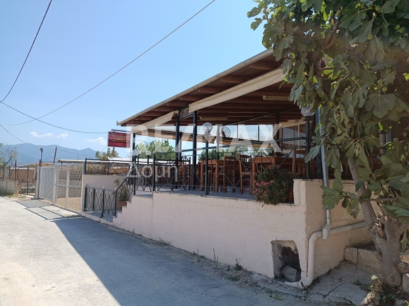 Επιχείρηση 145 τ.μ. πρός πώληση, Μαγνησία, Βόλος