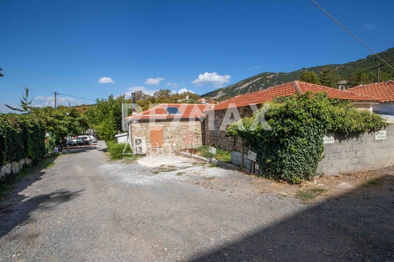 Οικόπεδο 421 τ.μ. πρός πώληση, Μαγνησία, Πορταριά