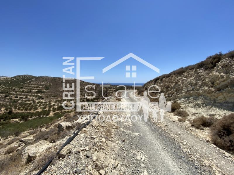 Αγροτεμάχια 7.220 τ.μ. πρός πώληση, Ν. Λασιθίου, Ιεράπετρα
