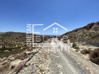 Αγροτεμάχια 7.220 τ.μ. προς πώληση, Κεφάλα Ιεράπετρας-thumb-4