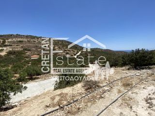 Αγροτεμάχια 7.220 τ.μ. προς πώληση, Κεφάλα Ιεράπετρας-thumb-17