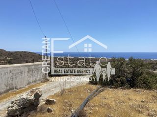 Αγροτεμάχια 7.220 τ.μ. προς πώληση, Κεφάλα Ιεράπετρας-thumb-15