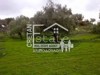 Αγροτεμάχια 7.220 τ.μ. προς πώληση, Κεφάλα Ιεράπετρας-thumb-8