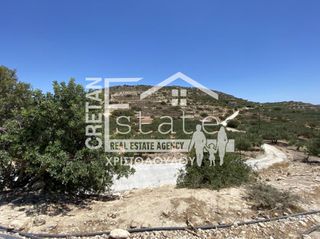 Αγροτεμάχια 7.220 τ.μ. προς πώληση, Κεφάλα Ιεράπετρας-thumb-19