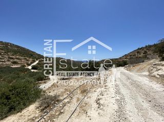 Αγροτεμάχια 7.220 τ.μ. προς πώληση, Κεφάλα Ιεράπετρας-thumb-18