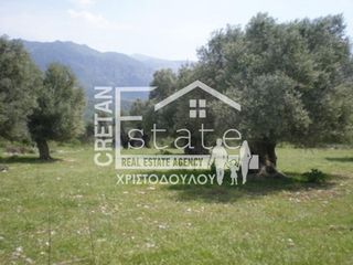 Αγροτεμάχια 7.220 τ.μ. προς πώληση, Κεφάλα Ιεράπετρας-thumb-10