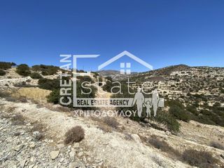 Αγροτεμάχια 7.220 τ.μ. προς πώληση, Κεφάλα Ιεράπετρας-thumb-3