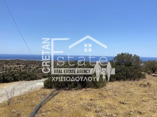 Αγροτεμάχια 7.220 τ.μ. προς πώληση, Κεφάλα Ιεράπετρας-thumb-14