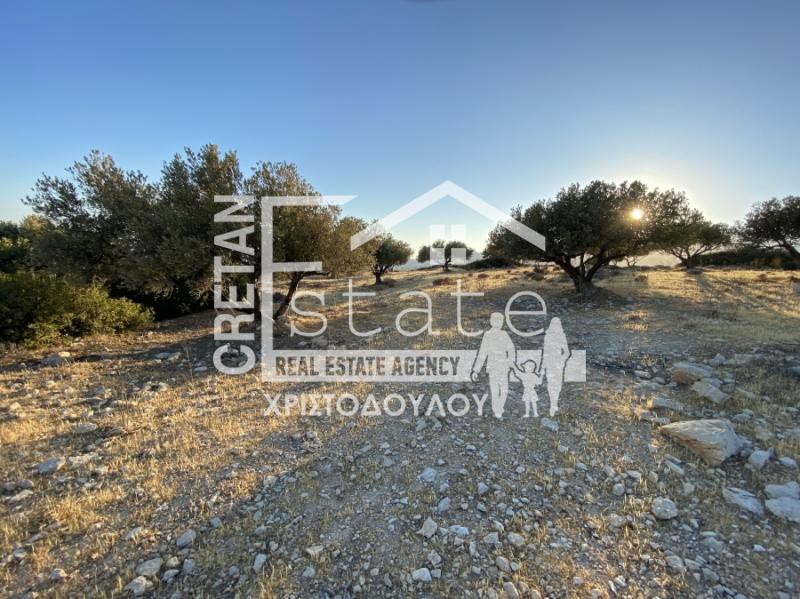 Αγροτεμάχια 7.220 τ.μ. πρός πώληση, Ν. Λασιθίου, Ιεράπετρα