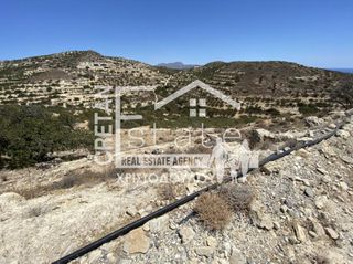 Αγροτεμάχια 7.220 τ.μ. προς πώληση, Κεφάλα Ιεράπετρας-thumb-6