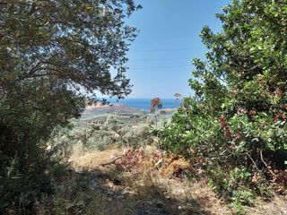 Οικόπεδο 737,71 τ.μ. για πώληση