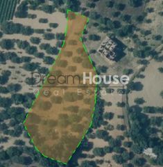 Οικόπεδο 4.088 τ.μ. για πώληση