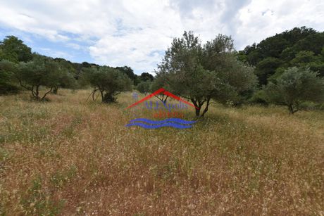 Αγροτεμάχια 4.000τ.μ. για πώληση-Σαμοθράκη » Παλαιόπολη