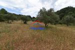 Parcel 4.000sqm for sale-Samothraki » Palaiopoli