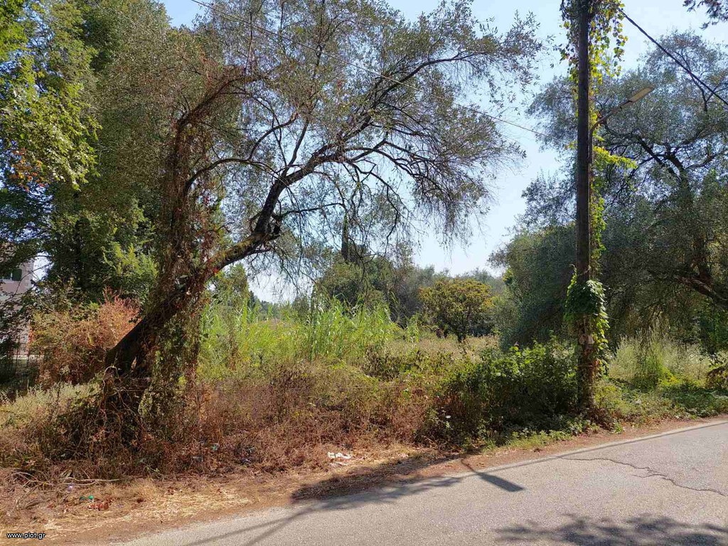Οικόπεδο 2.300 τ.μ. προς πώληση, Χώρα Κέρκυρας