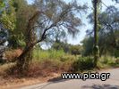 Land plot 2.300sqm for sale-Corfu » Corfu Town
