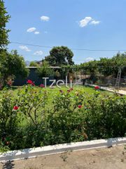 Κτίριο 394 τ.μ. για πώληση, Αχαΐα, Παραλία-thumb-45