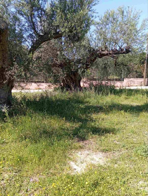 Οικόπεδο 742 τ.μ. προς πώληση, Καλλιθεόκαμπος