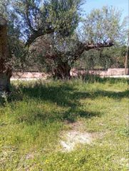 Οικόπεδο 742 τ.μ. για πώληση, Αχαΐα, Μεσσατίδα-thumb-2