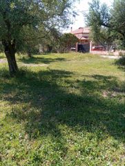 Οικόπεδο 742 τ.μ. για πώληση, Αχαΐα, Μεσσατίδα-thumb-4