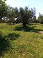 Οικόπεδο 742 τ.μ. για πώληση, Αχαΐα, Μεσσατίδα-thumb-3