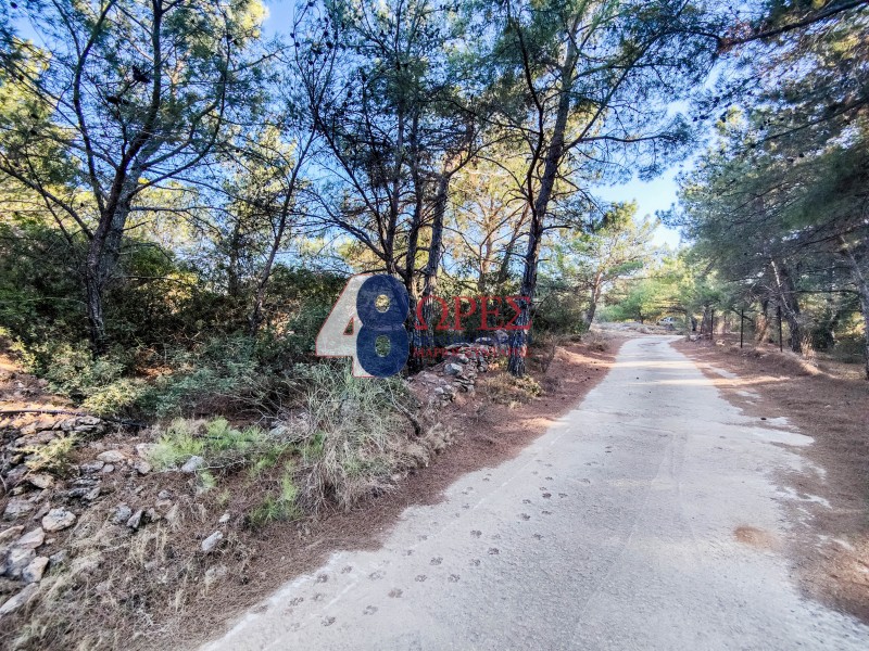 Οικόπεδο 11.505 τ.μ. προς πώληση, Άγιος Μηνάς Χίου