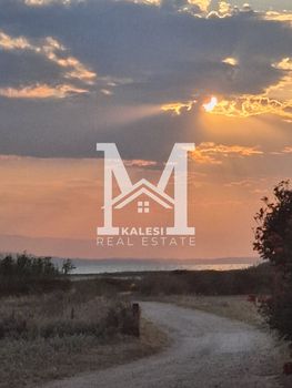Parcel 9.330sqm for sale-Epanomi » Lefkes