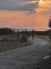 Αγροτεμάχια 9.330 τ.μ. για πώληση