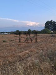 Αγροτεμάχια 11.000 τ.μ. για πώληση