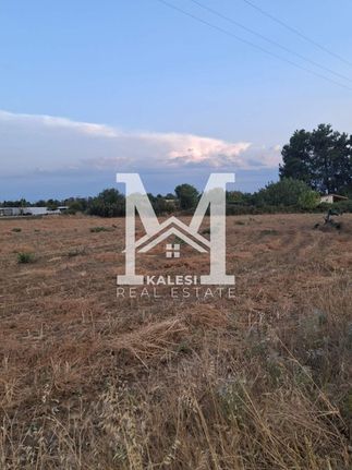Αγροτεμάχια 11.000 τ.μ. για πώληση, Θεσσαλονίκη - Περιφ/Κοί Δήμοι, Επανομή