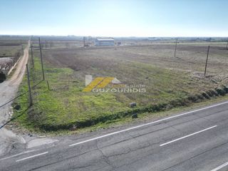 Αγροτεμάχια 6.250 τ.μ. για πώληση