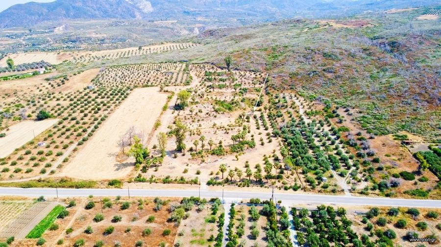 Οικόπεδο 10.000 τ.μ. προς πώληση, Ροβιές