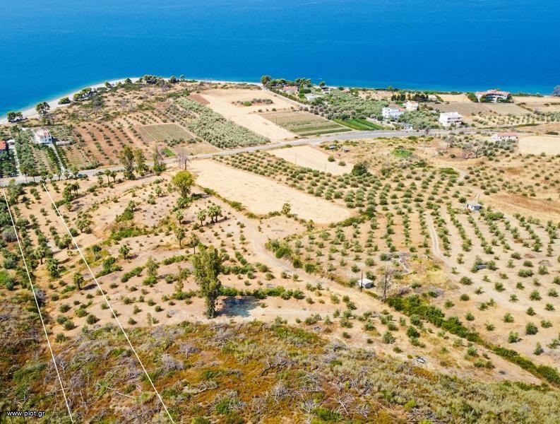 Οικόπεδο 10.000 τ.μ. προς πώληση, Ροβιές