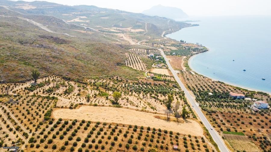 Οικόπεδο 10.000 τ.μ. προς πώληση, Ροβιές