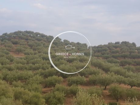 Αγροτεμάχια 22.000 τ.μ. για πώληση