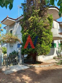 Μονοκατοικία 200τ.μ. για πώληση-Αιδηψός » Λουτρά αιδηψού