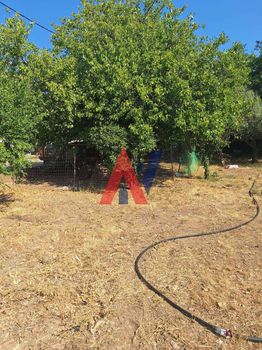 Land plot 826sqm for sale-Farida » Xirokampi